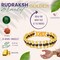 Rudraksha Bracelet for Men Gold Plated Designer Himalayan Bead Bracelet 5-mukhi Face Rudraksha Bead with Golden Color Stainless Steel Spiritual Jewelry for Positive Energy, Prosperity